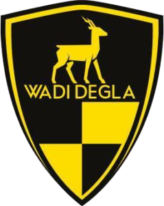 نادي وادي دجلة